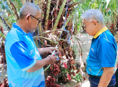 การประชุมการสร้างการรับรู้และวิธีการแก้ไขปัญหาเชิงบูรณาการแบบมีส่วนร่วมในการติดตามสถานการณ์การผลิตสินค้าเกษตรและติดตามงานตามนโยบายกระทรวงเกษตรและสหกรณ์ โดยสหกรณ์การเกษตรพรหมคีรีจำกัด ได้บรรยายสรุปผลการดำเนินงานของสหกรณ์และการเชื่อมโยงเครื่อข่ายธุรกิจระหว ... พารามิเตอร์รูปภาพ 9